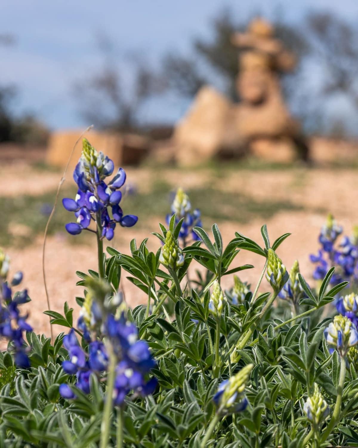Lazo House - Riverfront With Overlooking Llano River エクステリア 写真